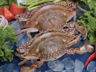 2024年·秉持初心继续为企事业单位提供优质的服务~