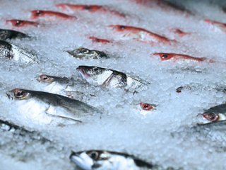 【价格监测】2023年以来中山市姜蒜价格持续上涨