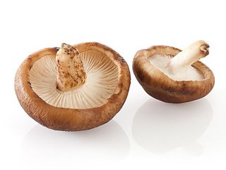 如何在膳食行业里可持续稳健发展？