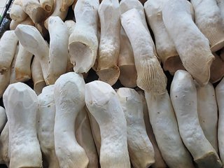 企业食堂承包需要注意哪些细节