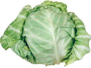 如何在膳食行业里可持续稳健发展?