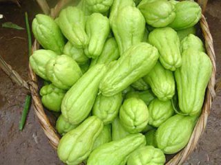 新鲜蔬菜配送-王太餐饮